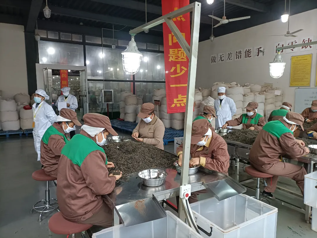 精益求精·鑄造品質|六大茶山第十四屆技術大比武圓滿完成