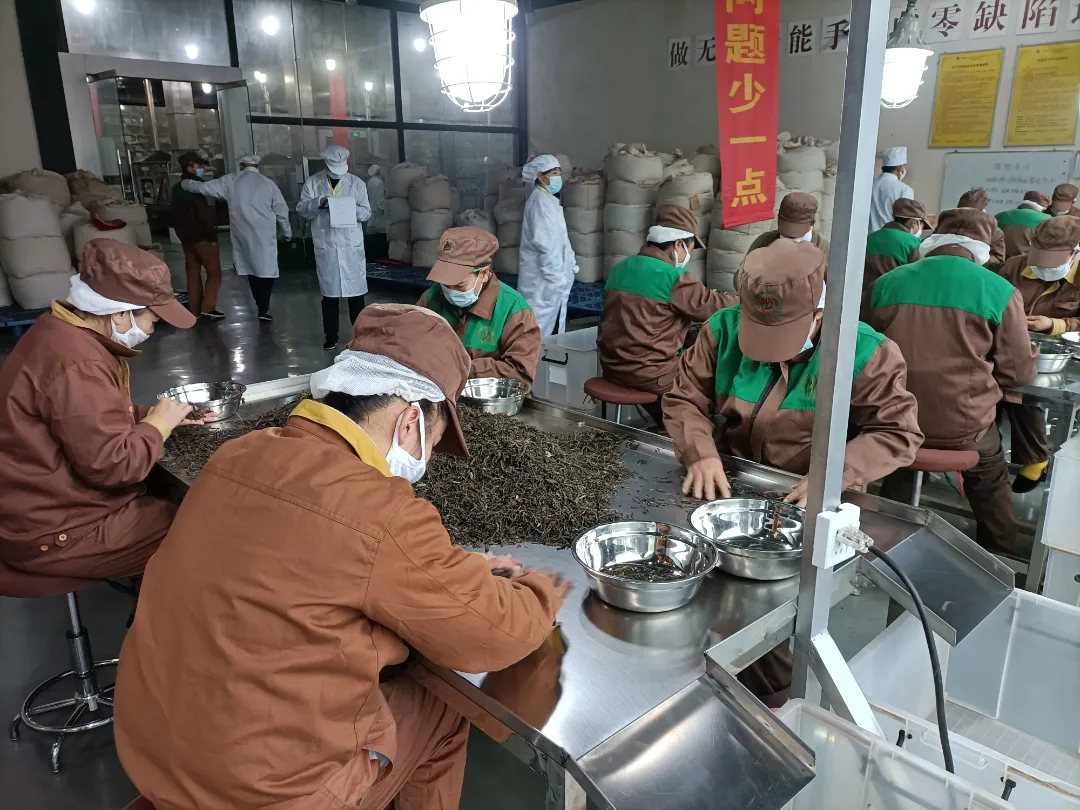 精益求精·鑄造品質|六大茶山第十四屆技術大比武圓滿完成