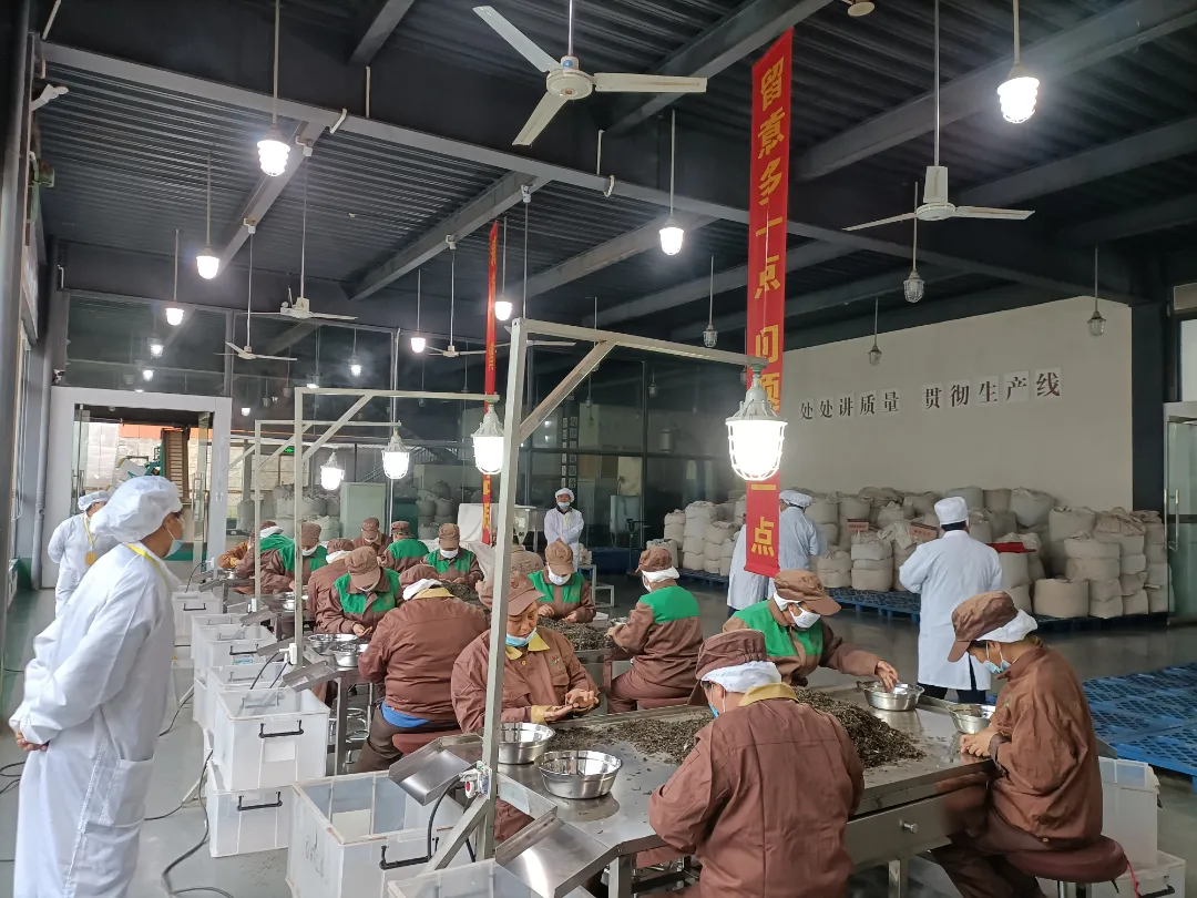 精益求精·鑄造品質|六大茶山第十四屆技術大比武圓滿完成