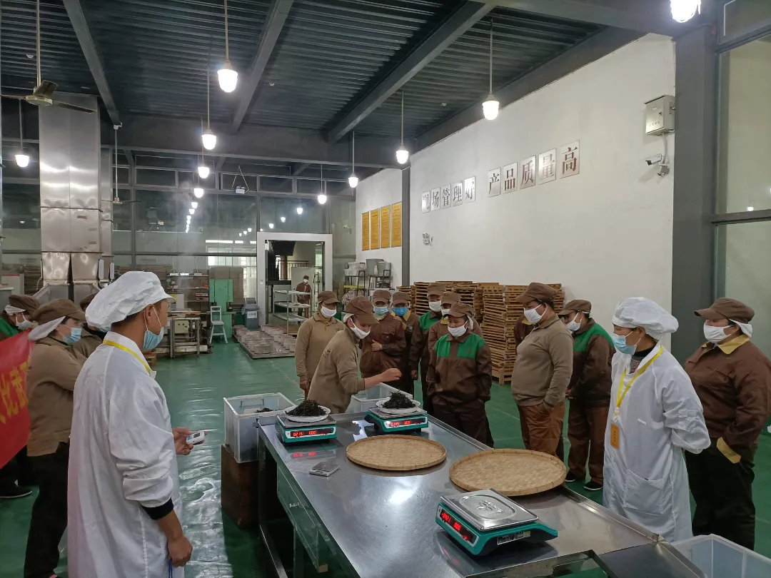 精益求精·鑄造品質|六大茶山第十四屆技術大比武圓滿完成