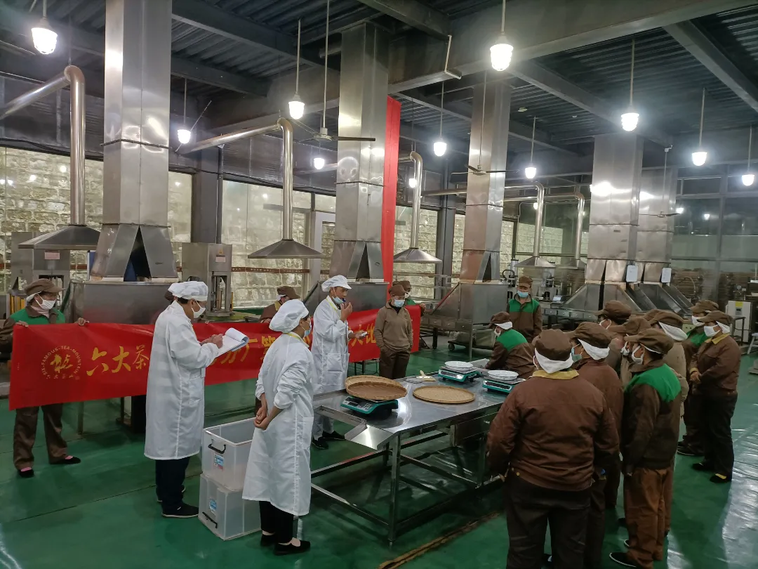 精益求精·鑄造品質|六大茶山第十四屆技術大比武圓滿完成