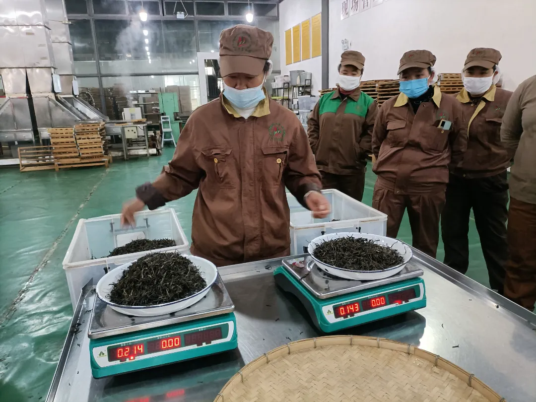 精益求精·鑄造品質|六大茶山第十四屆技術大比武圓滿完成