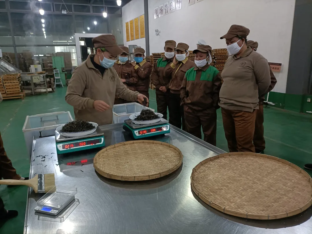 精益求精·鑄造品質|六大茶山第十四屆技術大比武圓滿完成