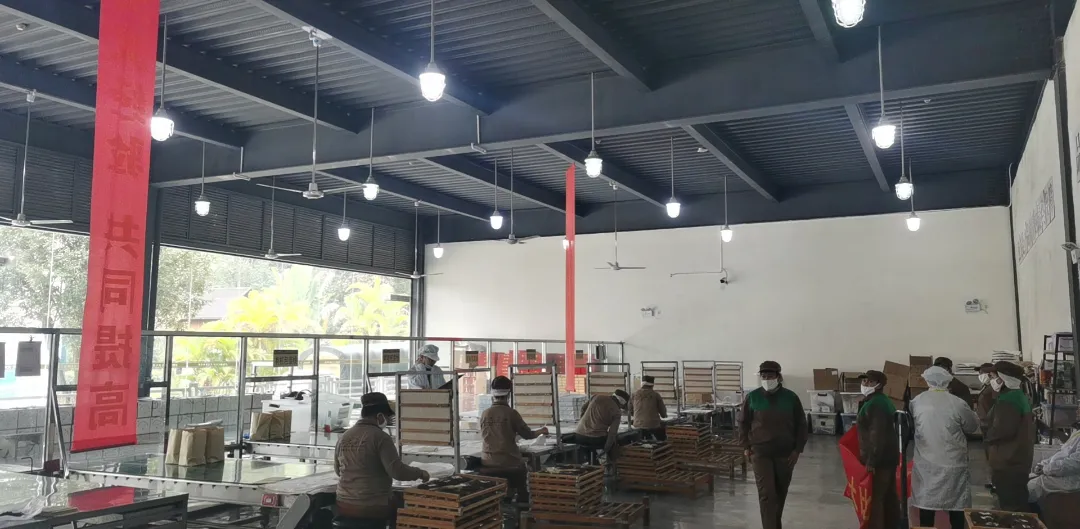 精益求精·鑄造品質|六大茶山第十四屆技術大比武圓滿完成
