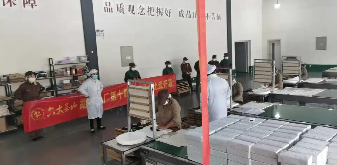 精益求精·鑄造品質|六大茶山第十四屆技術大比武圓滿完成