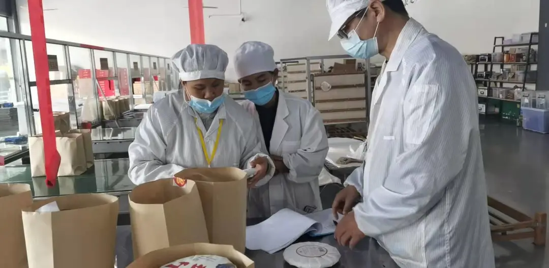 精益求精·鑄造品質|六大茶山第十四屆技術大比武圓滿完成