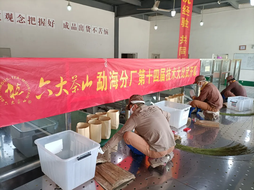 精益求精·鑄造品質|六大茶山第十四屆技術大比武圓滿完成