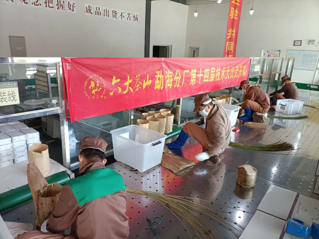 精益求精·鑄造品質|六大茶山第十四屆技術大比武圓滿完成