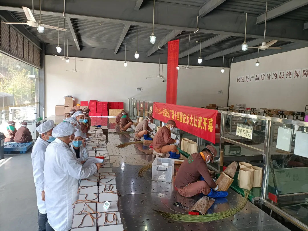 精益求精·鑄造品質|六大茶山第十四屆技術大比武圓滿完成