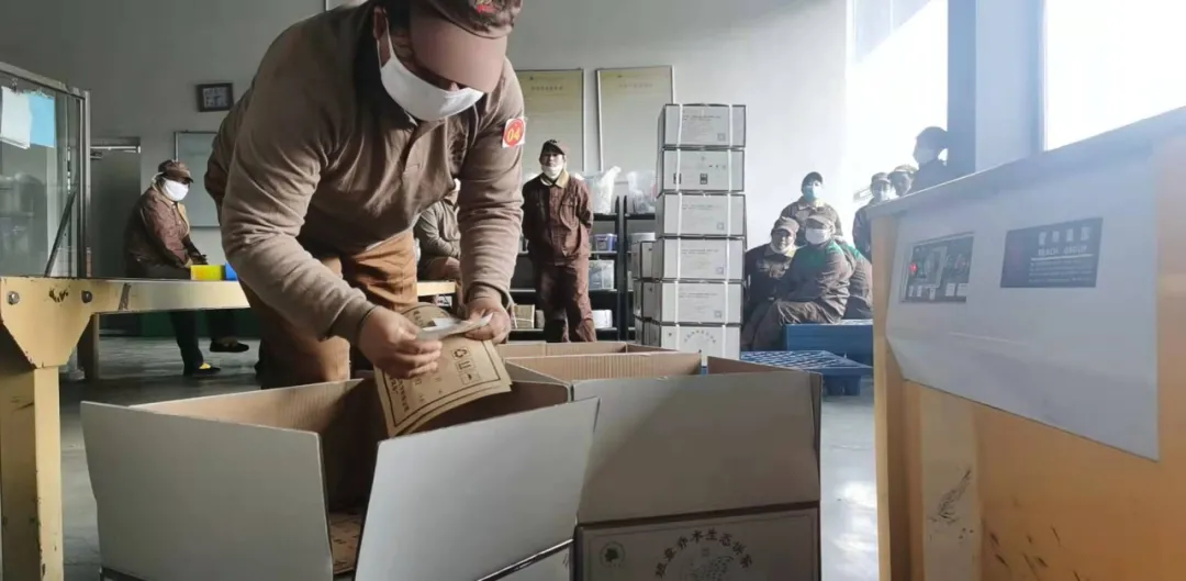 精益求精·鑄造品質|六大茶山第十四屆技術大比武圓滿完成