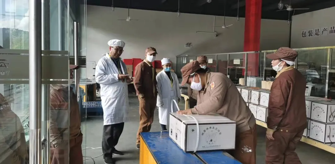 精益求精·鑄造品質|六大茶山第十四屆技術大比武圓滿完成