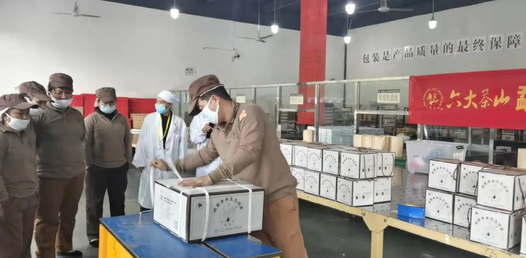 精益求精·鑄造品質|六大茶山第十四屆技術大比武圓滿完成