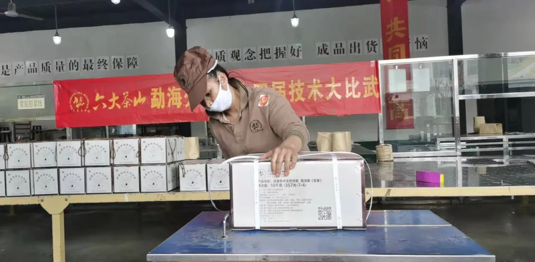 精益求精·鑄造品質|六大茶山第十四屆技術大比武圓滿完成